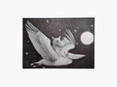 Let's Fly Away