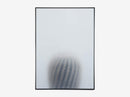 Botanic Poster, Ball Cactus I