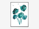 Monstera