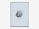 Nature 1:1 Hailstone