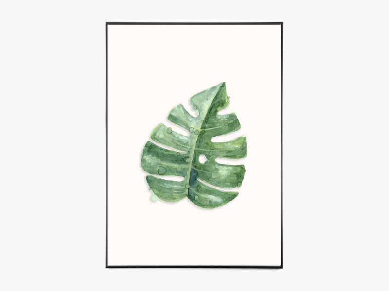 Monstera Leaf - Color