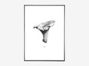 Nature 1:1 Chanterelle, White