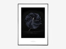 Essence of Ballet 06