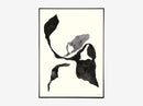 Shadow collection no. 05