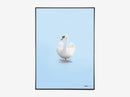 Svane, blå