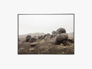 Fjeld