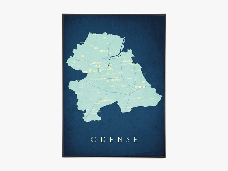 Odense Map - Nat