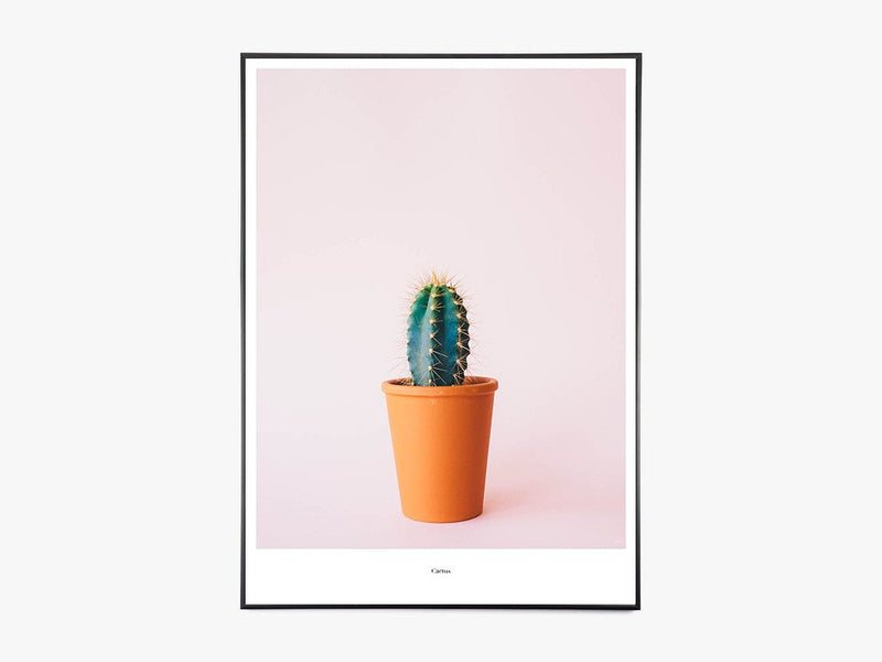 Cactus - Beautiful World Plakat