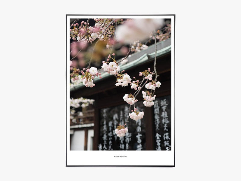 Cherry Blossom - Beautiful World Plakat