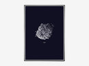 Nature 1:1 Hailstone, Everest Dark Blue