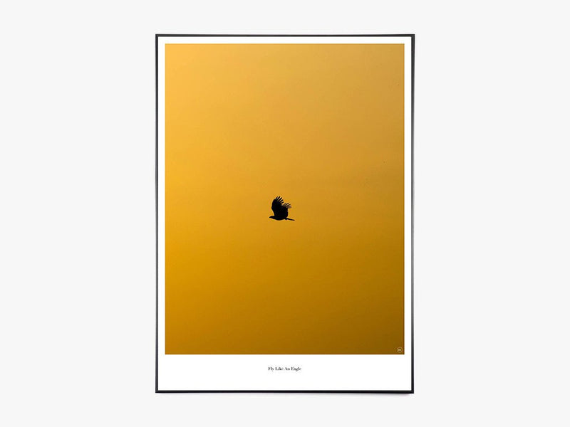 Fly Like An Eagle - Beautiful World Plakat