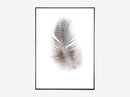 FLUFFY FEATHER