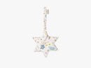 Play Gym - Star with crinkle paper, Pressed Leaves