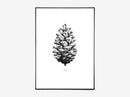 Nature 1:1 Pine Cone black/white