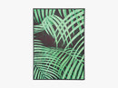 Palm Leafs