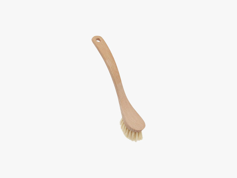 Dish brush, Tampico