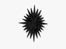 Super Star, Black