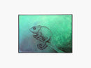 Chameleon