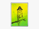 Pirate Bird