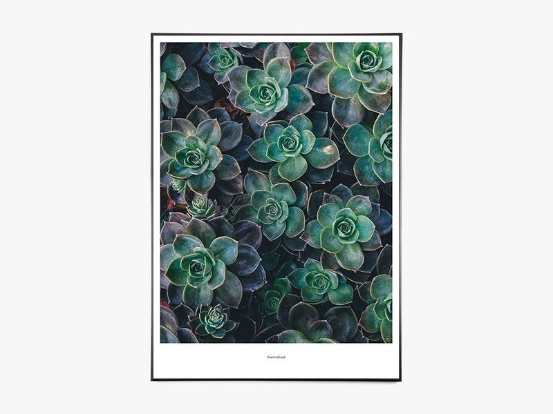 Succulent - Beautiful World Plakat