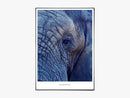 The Elephant In The Room - Beautiful World Plakat
