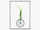 Wheelip
