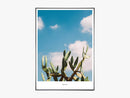 Wild Cactus - Beautiful World Plakat