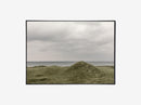 GREEN DUNES