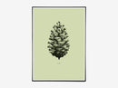 Nature 1:1 Pine Cone, Light Forest Green
