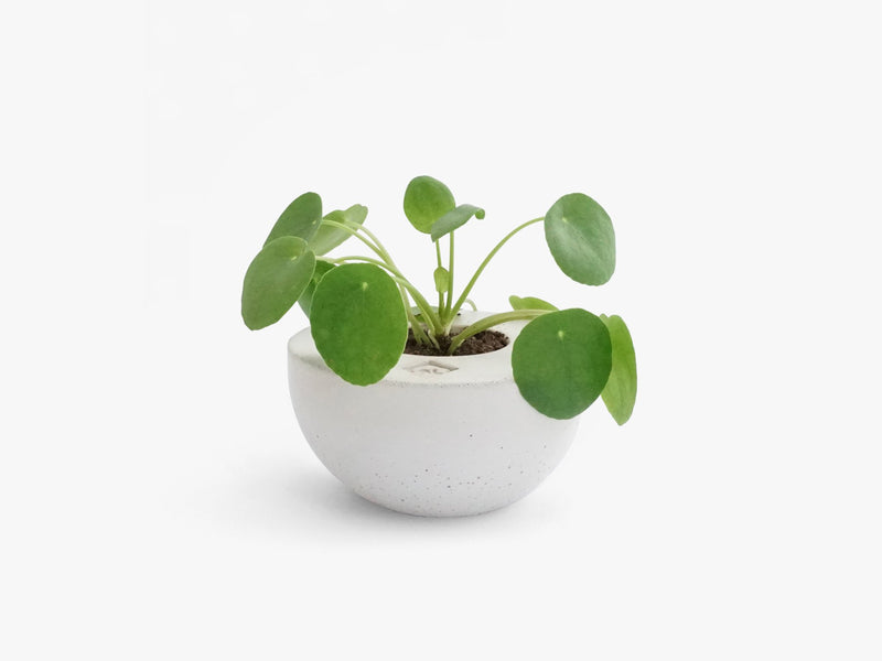 Mini vase by STAY