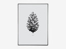 Nature 1:1 Pine Cone, grey