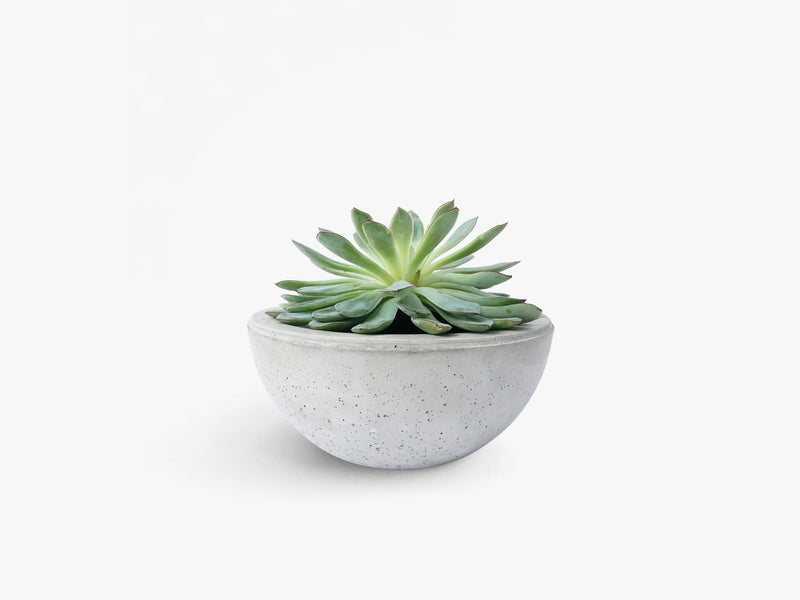 Concrete vase 22