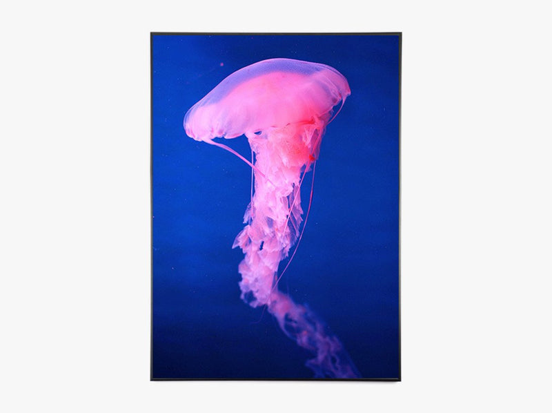 Pink Jelly - Beautiful World Plakat