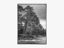 Cairngorms National Park
