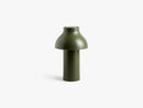 PC Portable, Olive