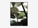 Green Home 03