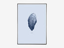 Nature 1:1 Oyster, Ocean Blue
