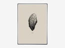 Nature 1:1 Oyster sand