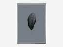 Nature 1:1 Oyster, Black Pearl