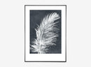 Feather