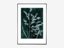 Grass petrol