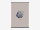 Nature 1:1 Hailstone, Everest Grey