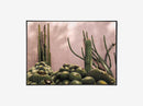 Plants on Pink