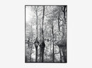 Forest Reflection