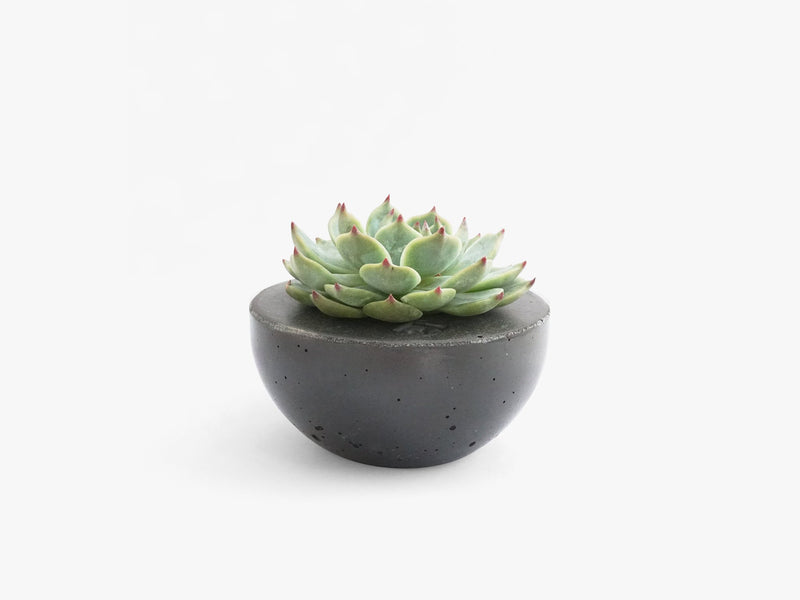 Mini vase by STAY