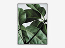 Green Home 01