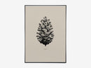 Nature 1:1 Pine Cone, Sand