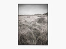 Skagen Klitplantage
