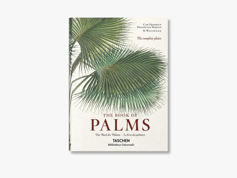 The Book of Palms XL