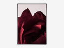 Peonia 03